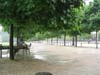 сад Тюльирьи (Jardin des Tuileries)
